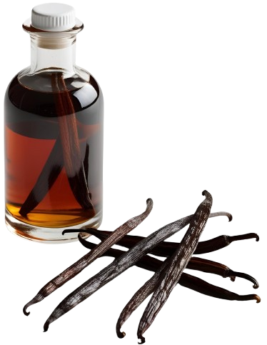 Vanilla_Extract-removebg-preview